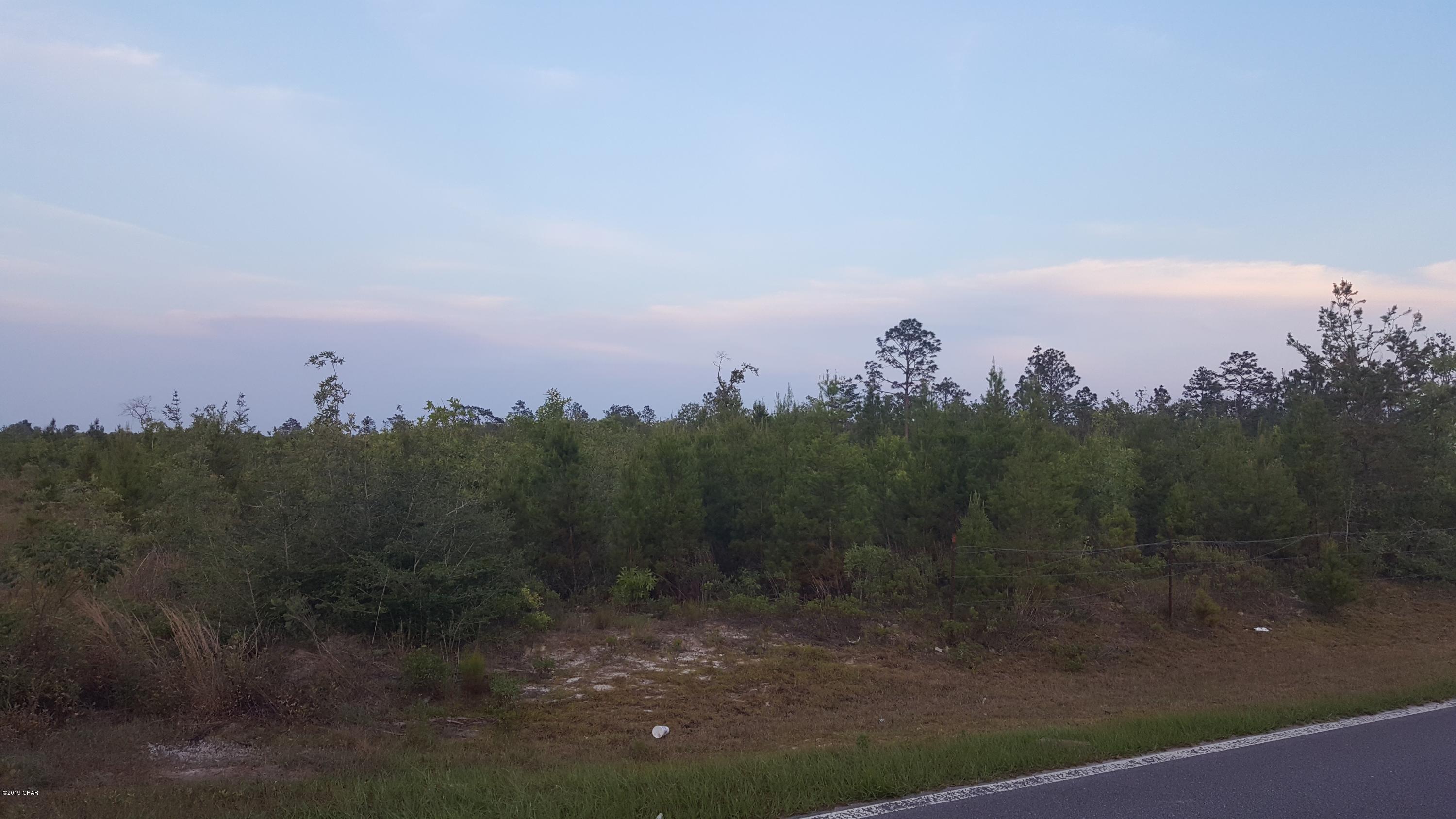 15 Northwest Porter Grade Road Altha, FL 32421 - Photo 6 of 12 Gallery Image 6