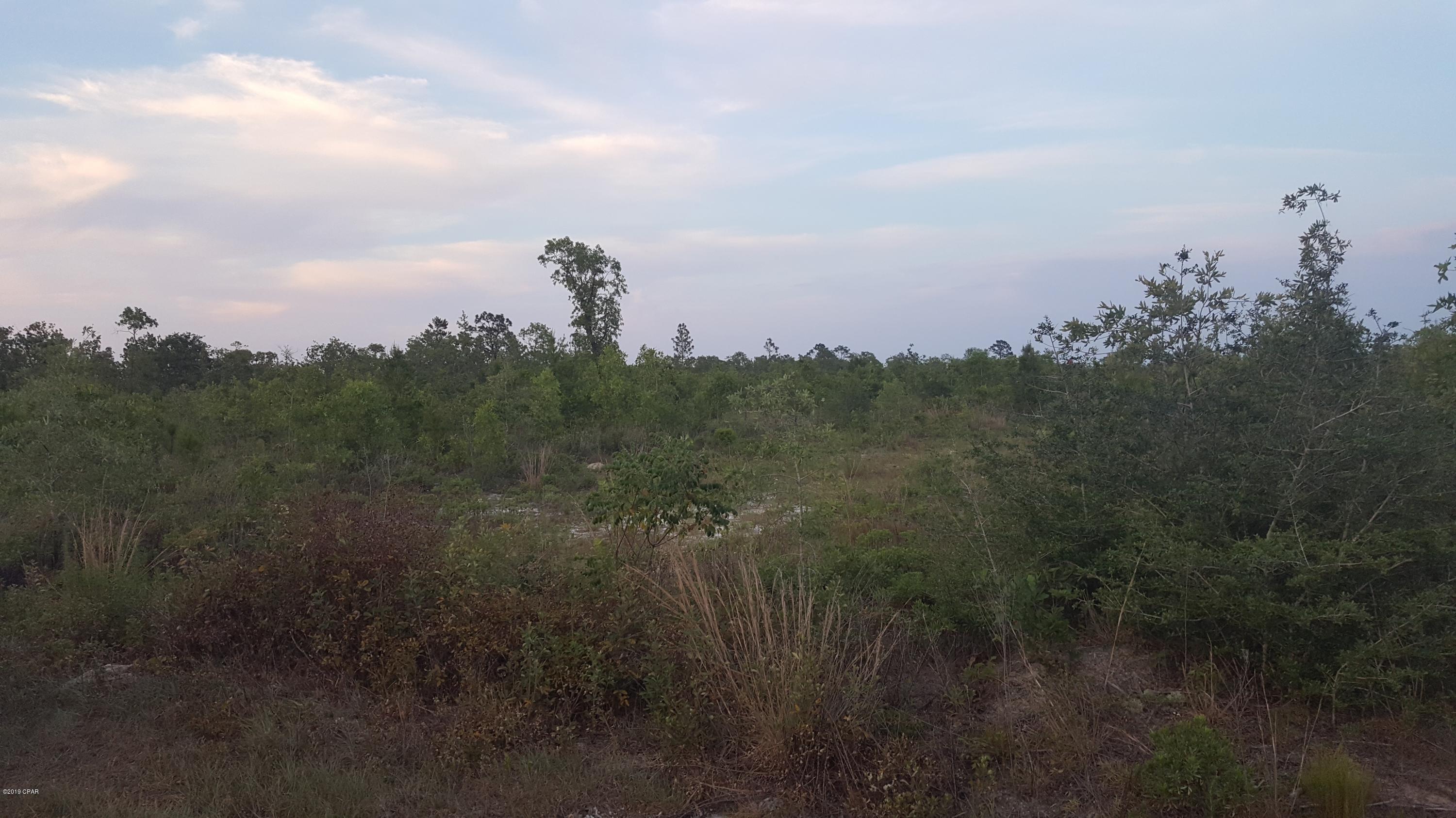 15 Northwest Porter Grade Road Altha, FL 32421 - Photo 7 of 12 Gallery Image 7