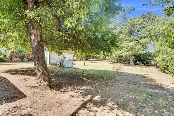 a view of a yard with plants and trees