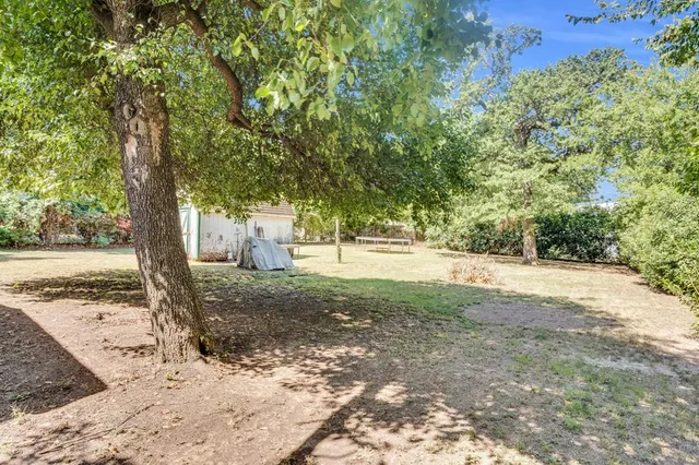 a view of a yard with plants and trees
