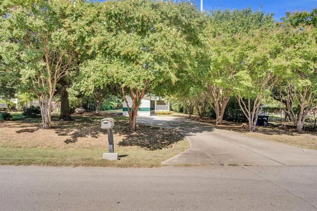 a view of a tree with a yard