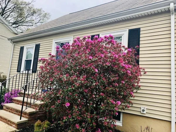 $4,950 | 24 Waban Street, Newton, MA 02458