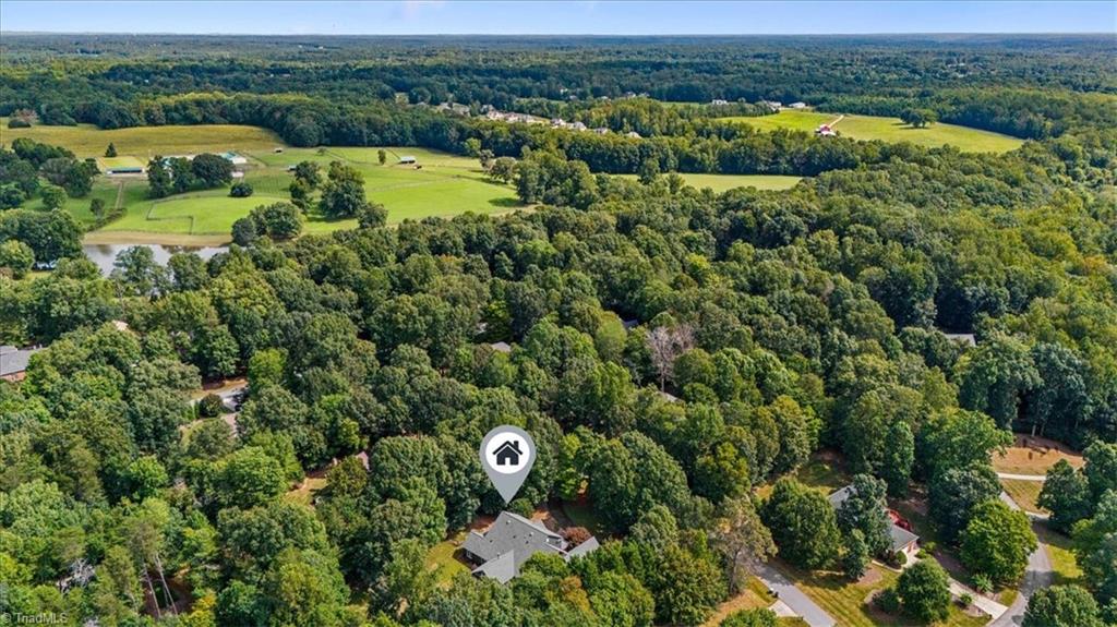 7503 William Bailey Road Summerfield, NC 27358 - Photo 50 of 50