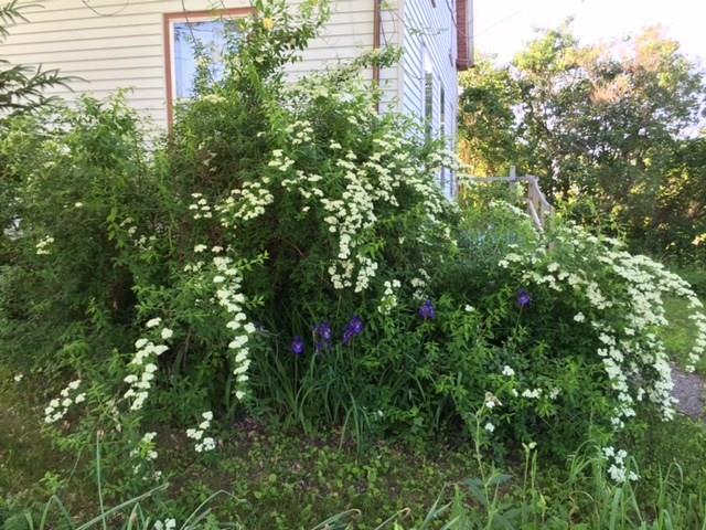 975 Lakins Road Etna, ME 04434 - Photo 7 of 28 Photo