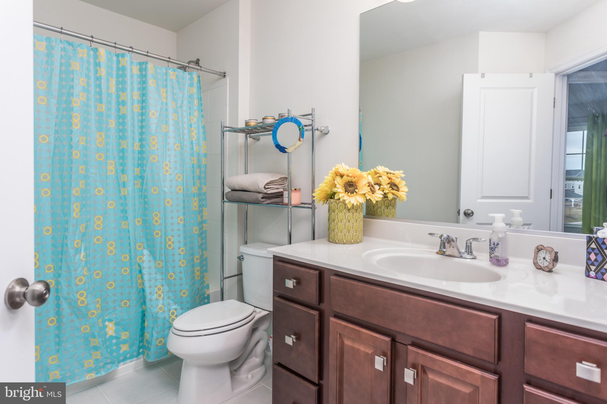 148 Solara Drive Winchester, VA 22602 - Photo 20 of 32 a bathroom with a sink a toilet and shower curtain