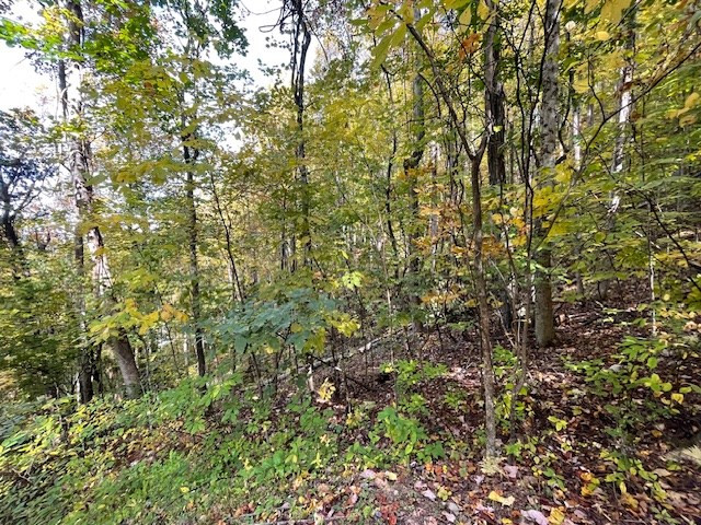 Lot 73 Hidden Treasure Murphy, NC 28906 - Photo 22 of 26