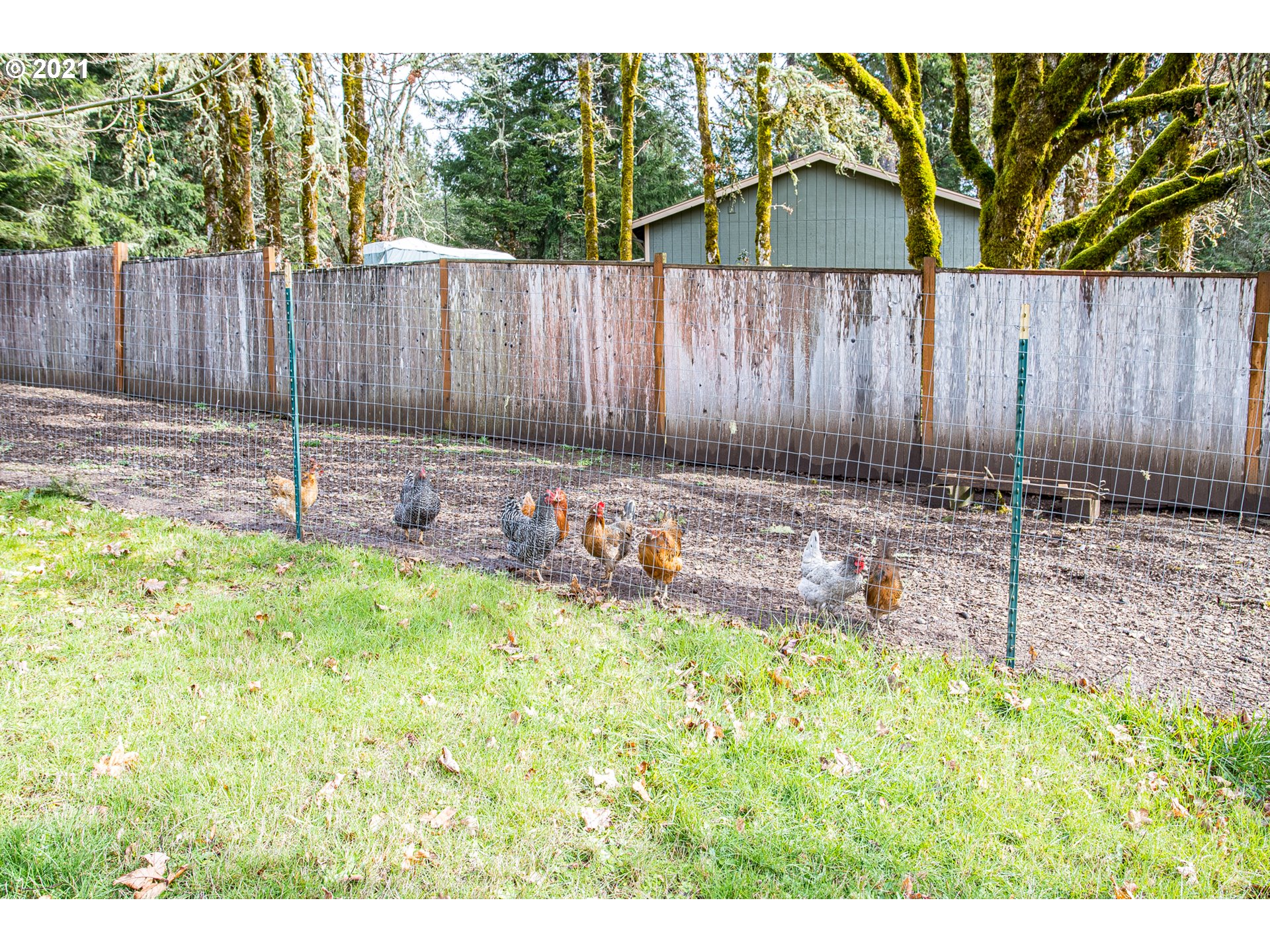 29270 Fox Hollow Road Eugene, OR 97405 - Photo 21 of 27 Gallery Image 21