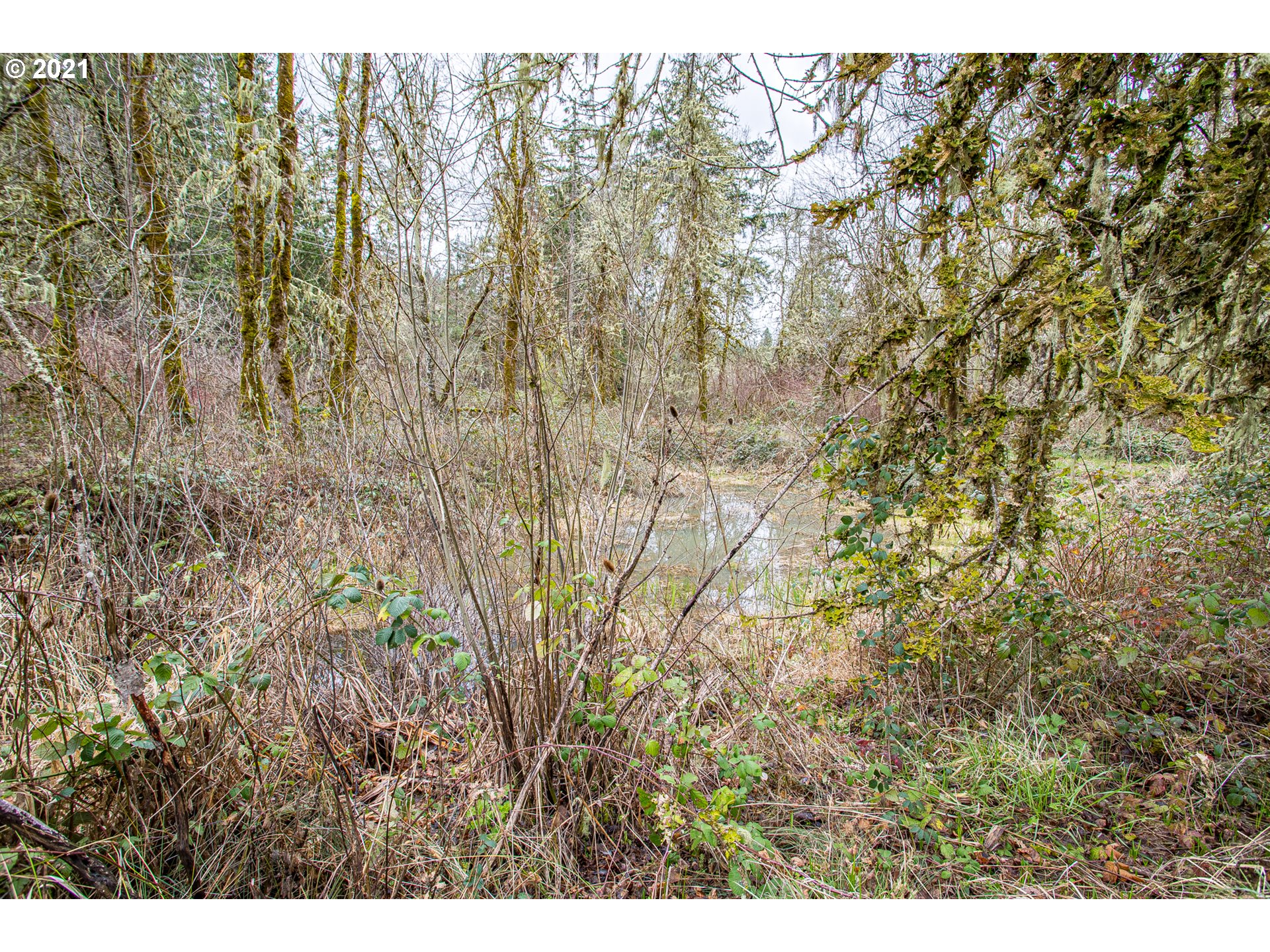 29270 Fox Hollow Road Eugene, OR 97405 - Photo 23 of 27 Gallery Image 23