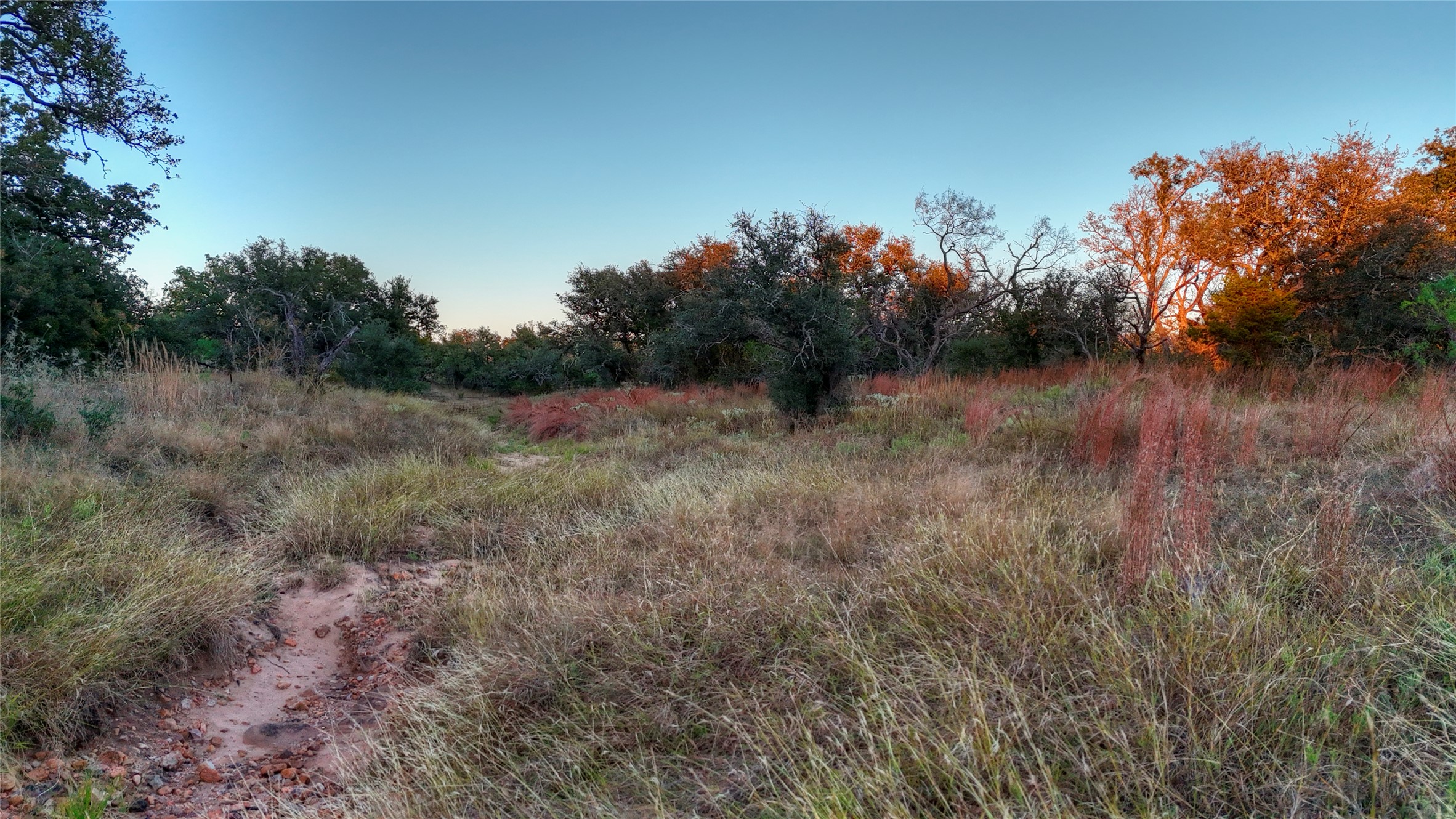 18248 Bode Peak Road Pontotoc, TX 76869 - Photo 12 of 19 a view of a yard