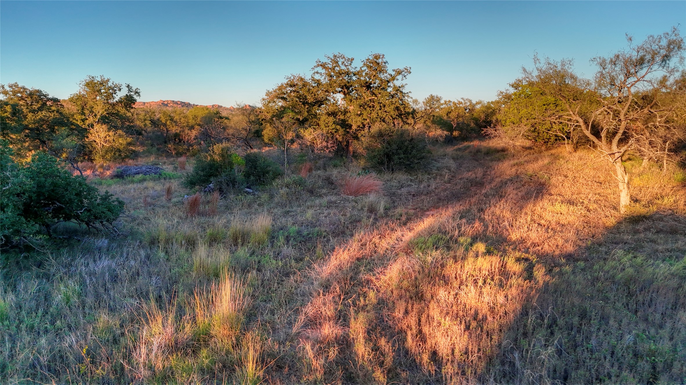 18248 Bode Peak Road Pontotoc, TX 76869 - Photo 3 of 19 a view of a yard