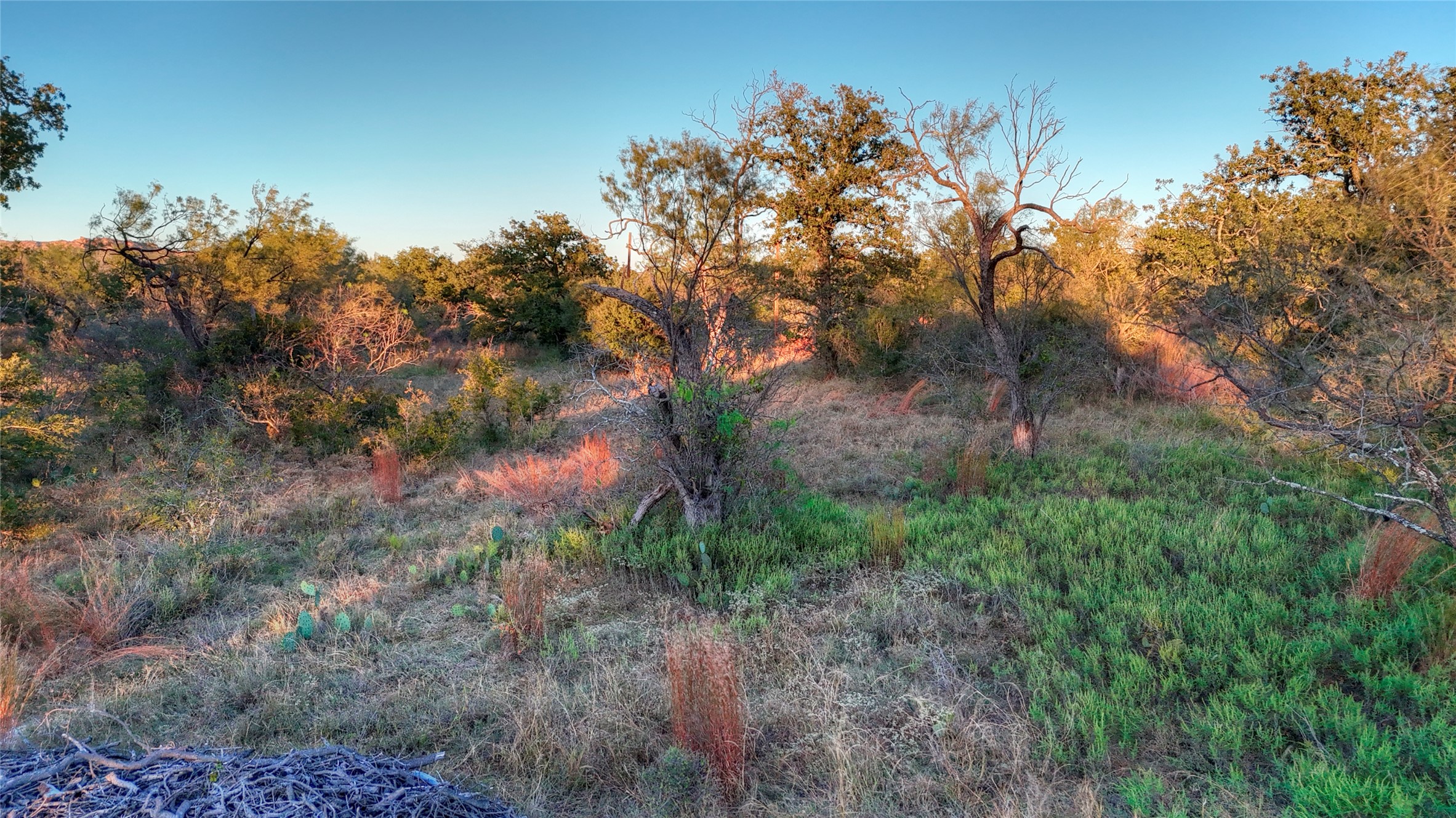 18248 Bode Peak Road Pontotoc, TX 76869 - Photo 4 of 19 a view of a yard