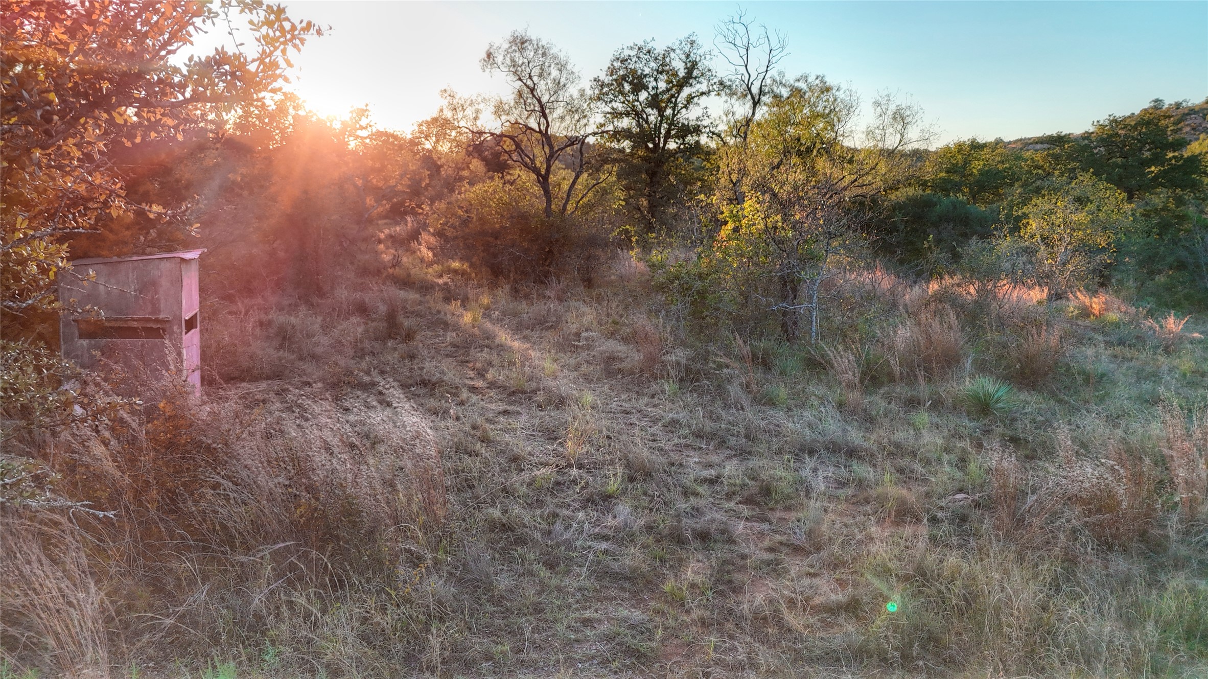 18248 Bode Peak Road Pontotoc, TX 76869 - Photo 5 of 19 a view of a dry yard with green space and fog