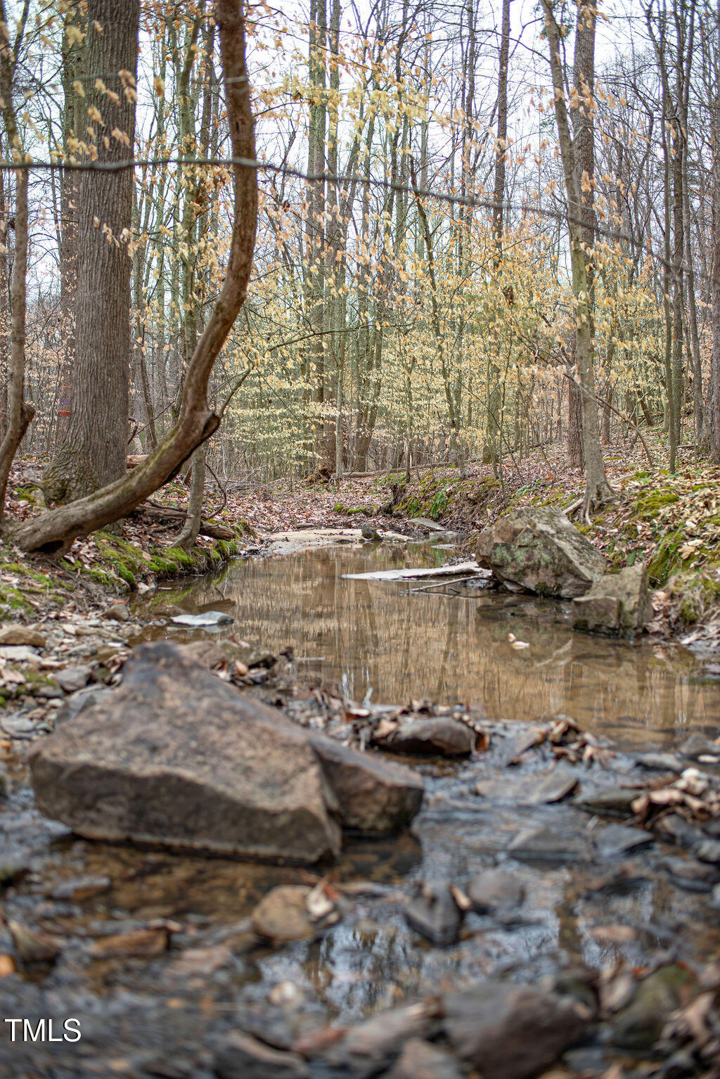 8717 Allison Road Cedar Grove, NC 27231 - Photo 53 of 86 DSC_1901