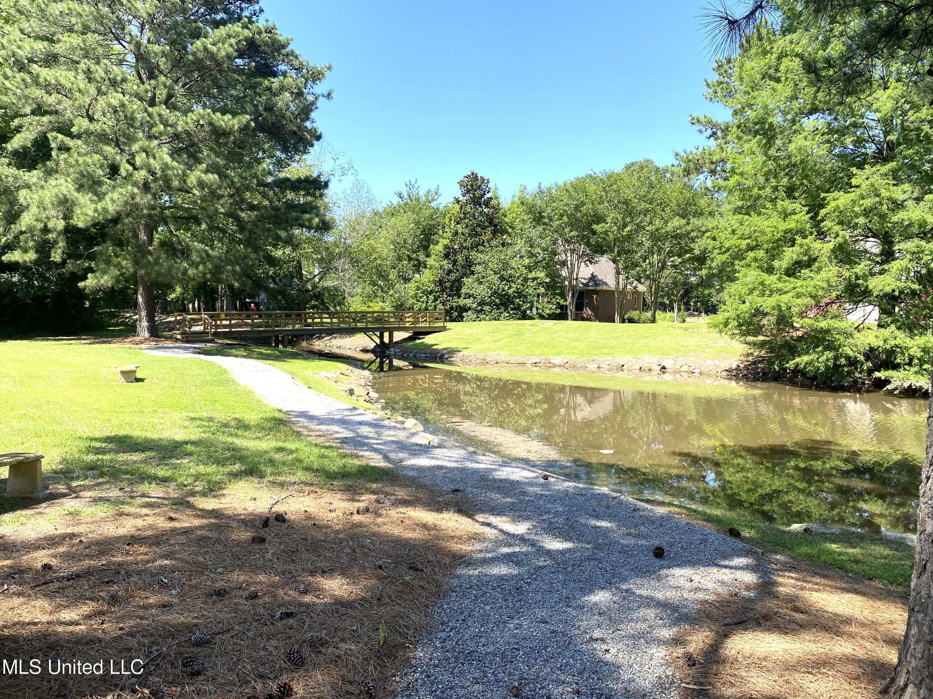 317 Indian Gate Circle Ridgeland, MS 39157 - Photo 29 of 35 IMG_1475