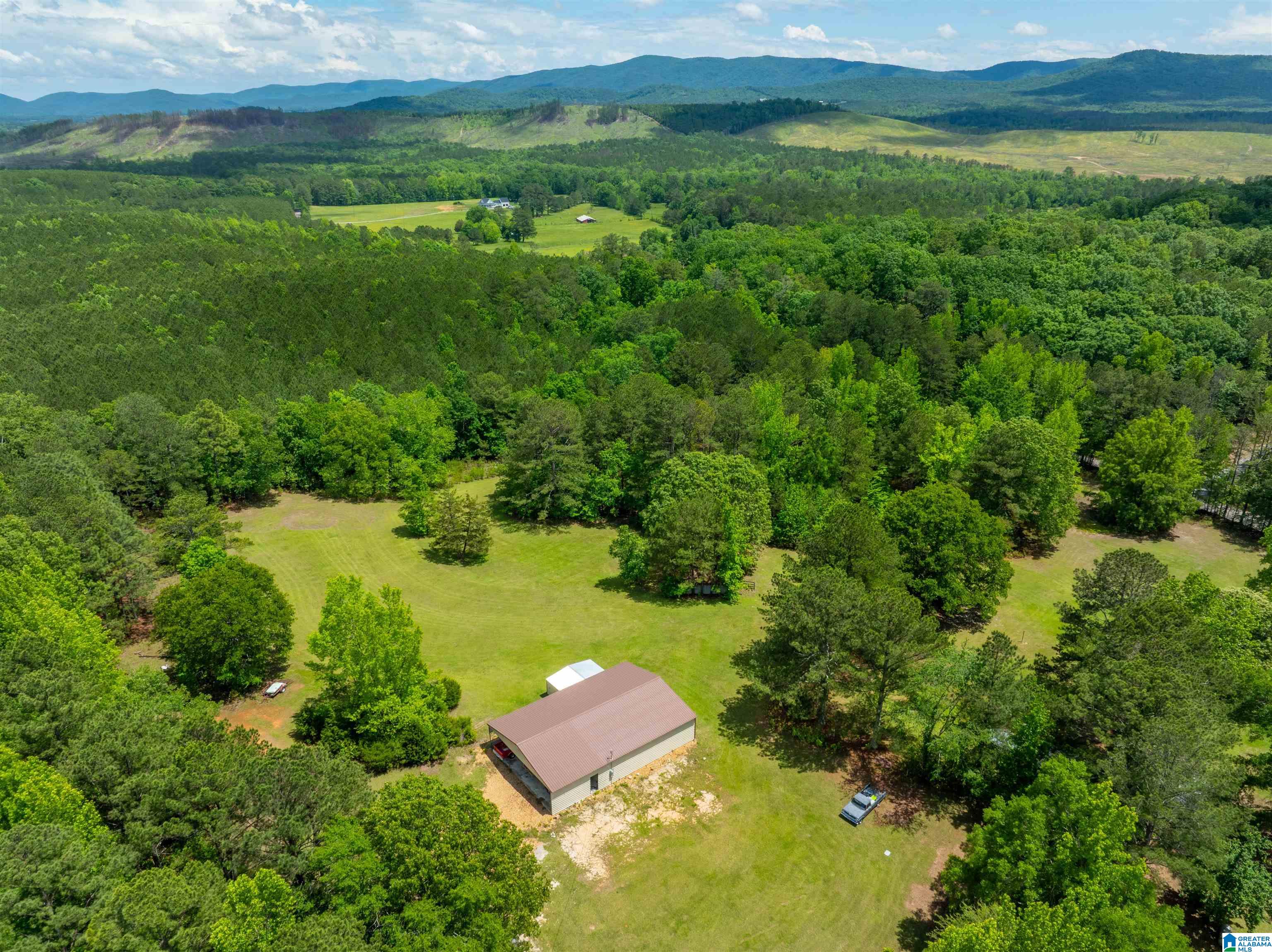 36 Woodlawn Road Piedmont, AL 36272 - Photo 52 of 53