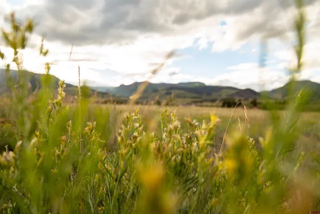 a view of a lake view