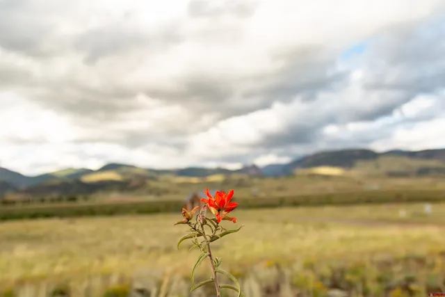 $139,000 | 3940 Vista Grande Drive, Creede, CO 81130