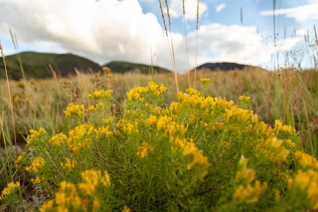 a view of under construction to a building
