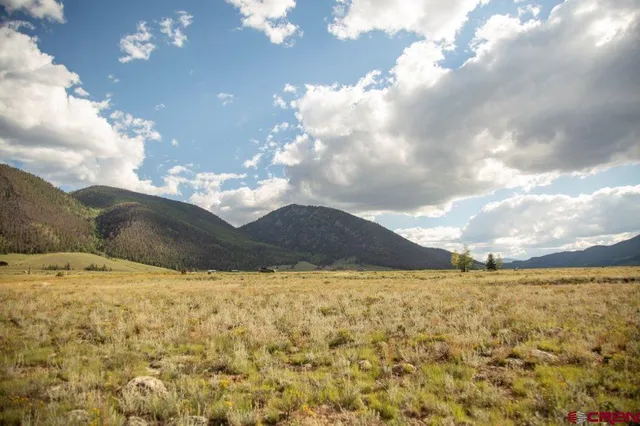 a view of yard with ocean view
