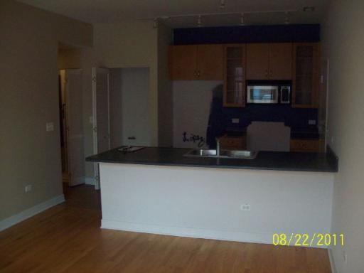 1515 South Halsted Street, Unit 313 Chicago, IL 60607 - Photo 3 of 5