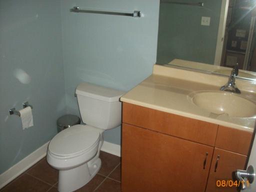 1515 South Halsted Street, Unit 313 Chicago, IL 60607 - Photo 5 of 5