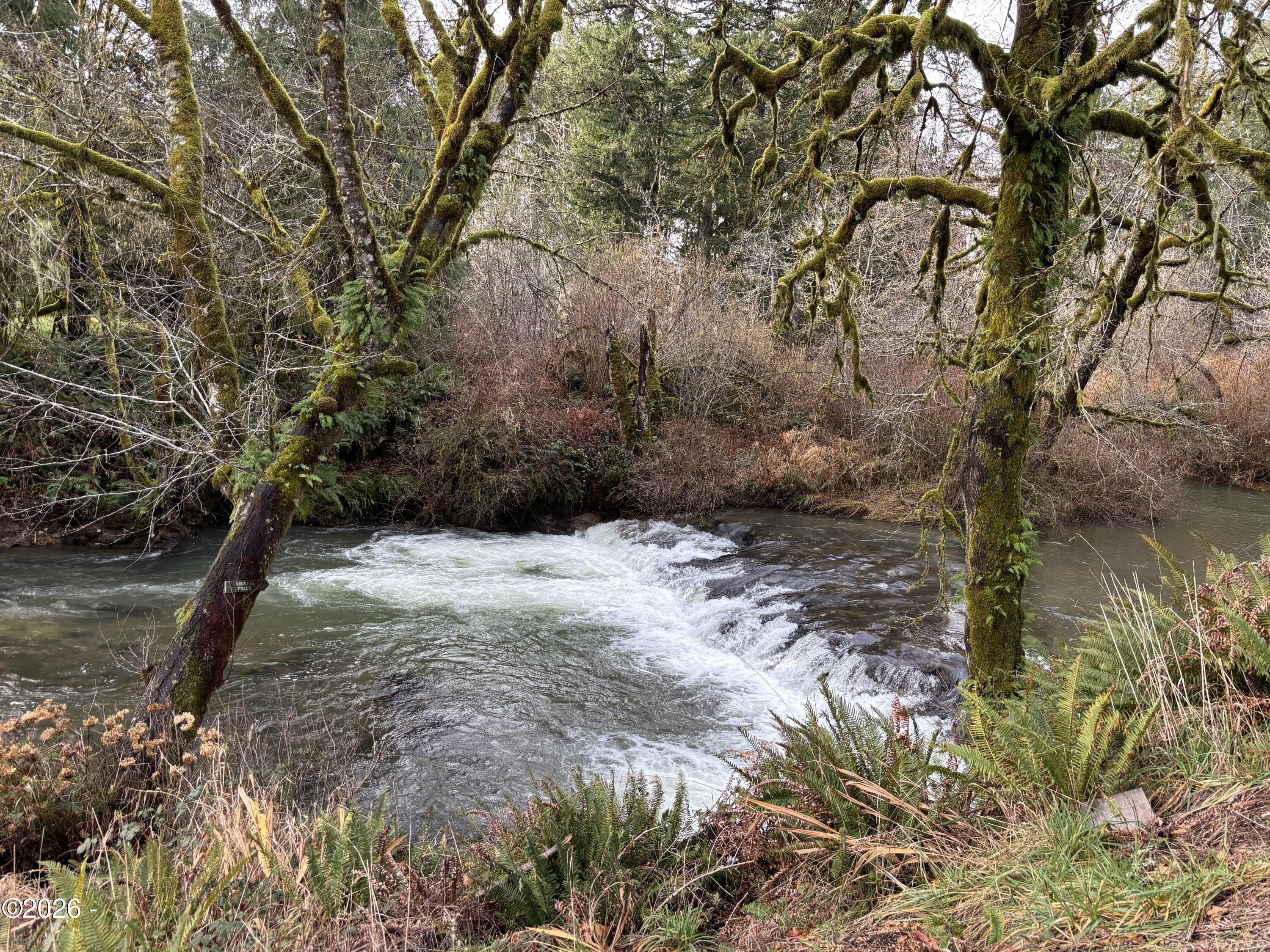 563 Moonshine Park Road Logsden, OR 97357 - Photo 6 of 60 Mill Creek