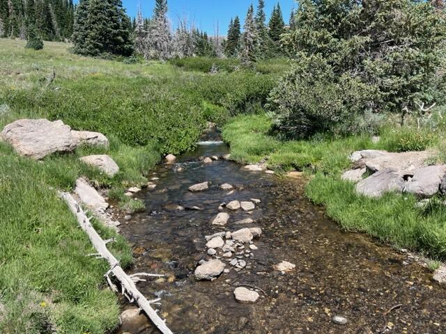 2139 Knight Street Brian Head, UT 84719 - Photo 1 of 1 RM lot 9 stream in area 2