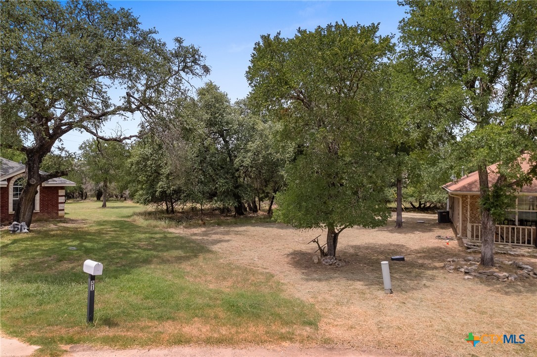 53 Buttercup Loop Belton, TX 76513 - Photo 2 of 6 a view of a tree in a yard