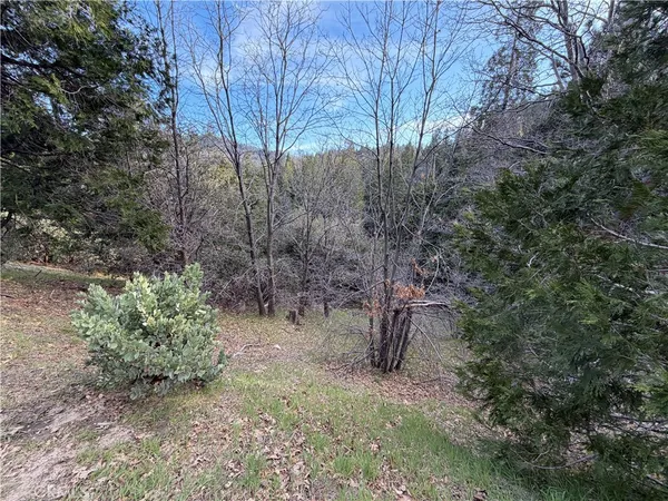 $60,000 | 0 Hook Creek, Cedar Glen, CA 92321
