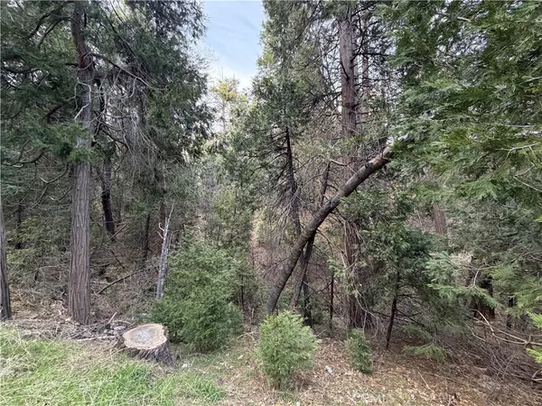 $60,000 | 0 Hook Creek, Cedar Glen, CA 92321