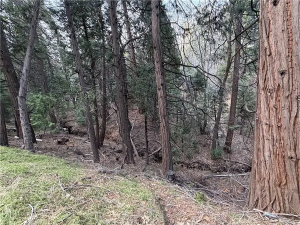 $60,000 | 0 Hook Creek, Cedar Glen, CA 92321