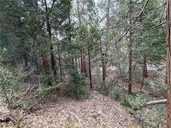 $60,000 | 0 Hook Creek, Cedar Glen, CA 92321