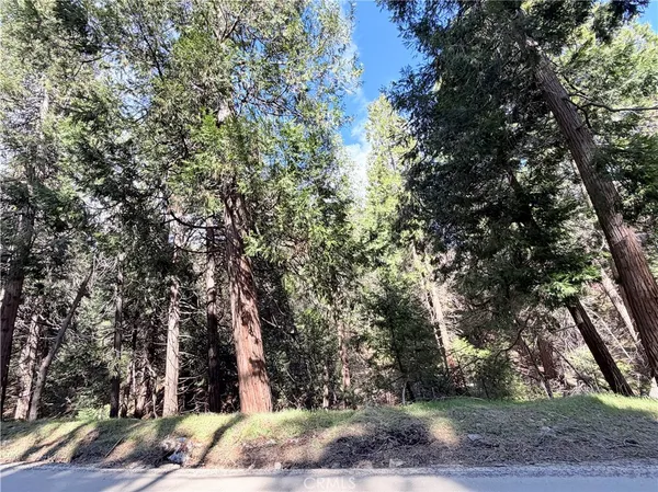 $60,000 | 0 Hook Creek, Cedar Glen, CA 92321