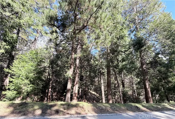 $60,000 | 0 Hook Creek, Cedar Glen, CA 92321