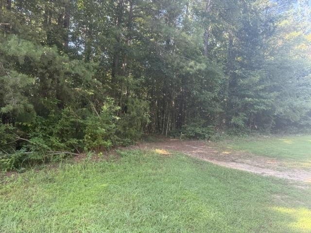 4 Carroll Hollow Road Waynesboro, TN 38485 - Photo 21 of 32 Gallery Image 21