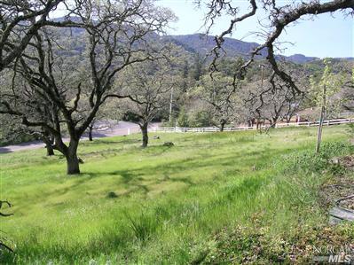 a view of swimming pool with a yard