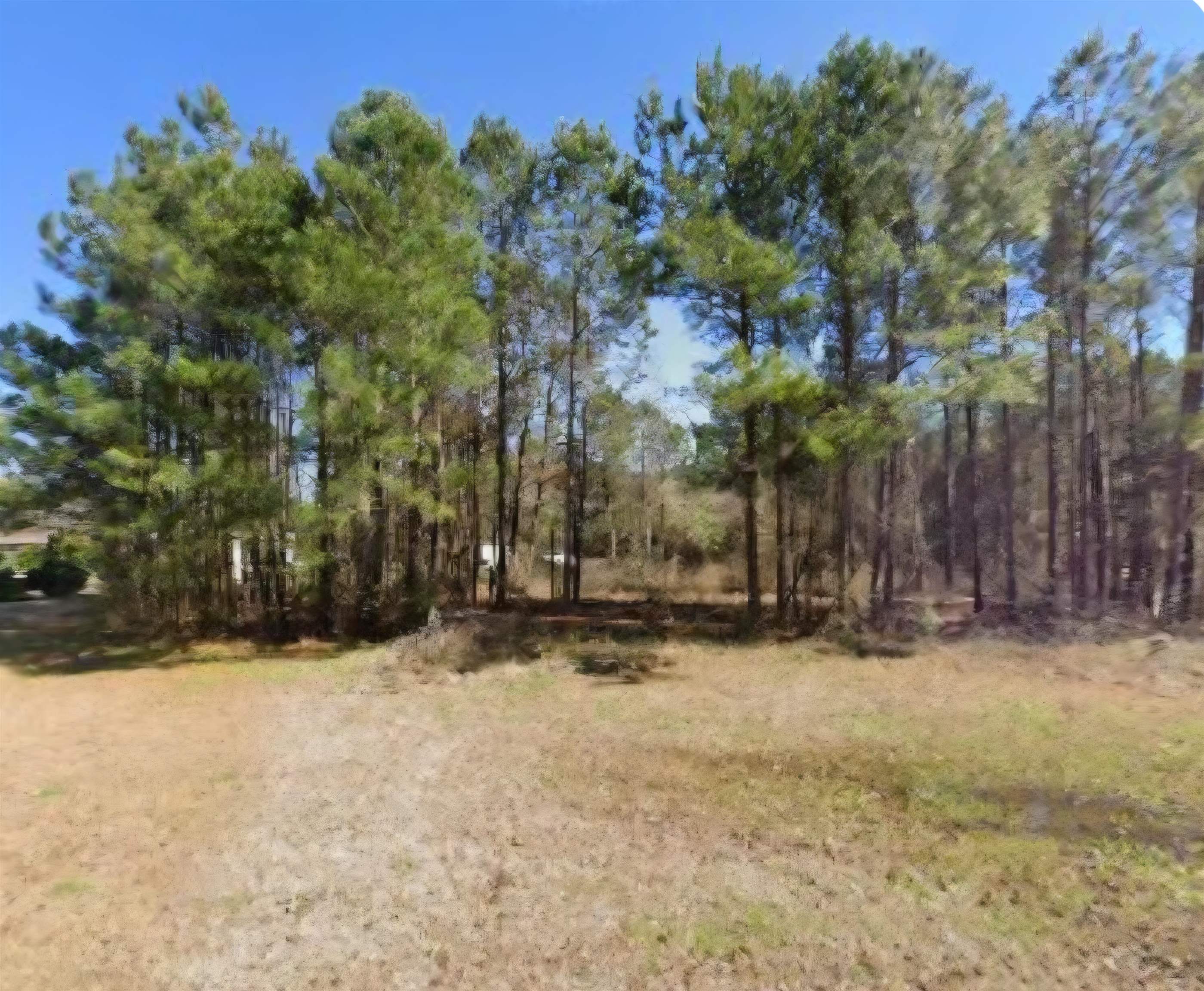 814 Handy Drive Longs, SC 29568 - Photo 1 of 9