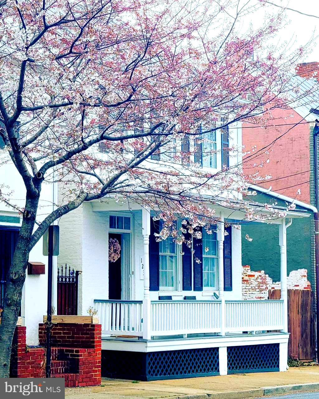 123 West 5th Street Frederick, MD 21701 - Photo 1 of 44 a front view of house with a garden