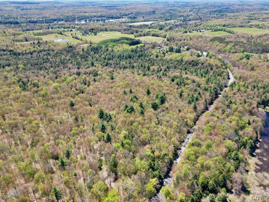 North Hillsborough Road Camden, NY 13316 - Photo 11 of 13