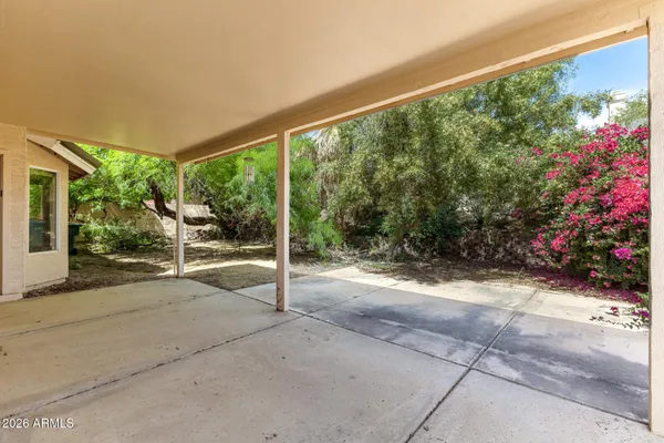 a view of a garden with plants