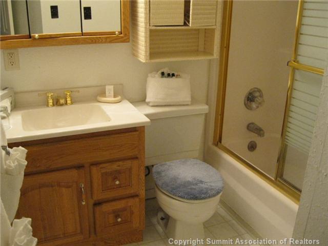 1473 West Keystone Road, Unit 2929 Keystone, CO 80435 - Photo 8 of 8 Bathroom.