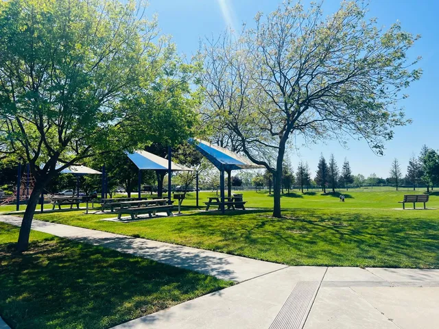 a view of a swimming pool and a yard with plants and trees in the background