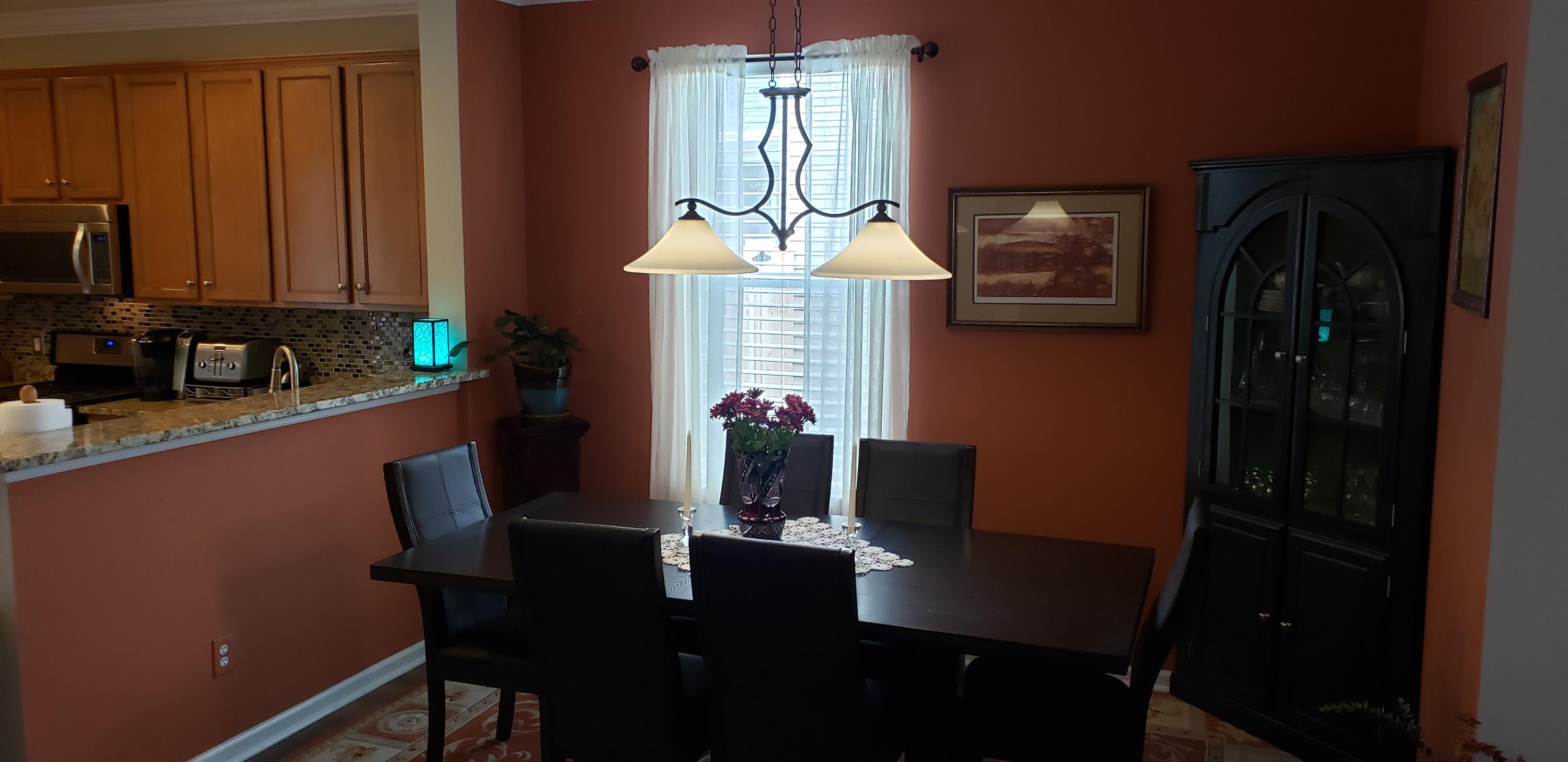3596 Locklear Lane Mount Pleasant, SC 29466 - Photo 14 of 56 0315_dining_room