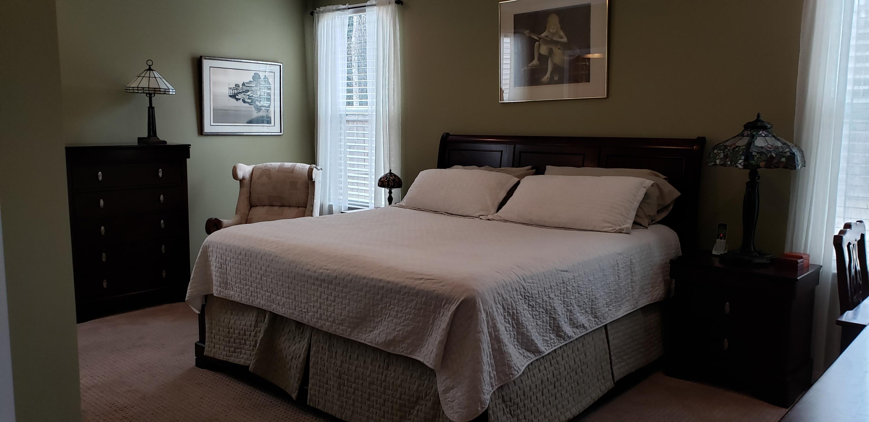 3596 Locklear Lane Mount Pleasant, SC 29466 - Photo 21 of 56 0500_master_bedroom