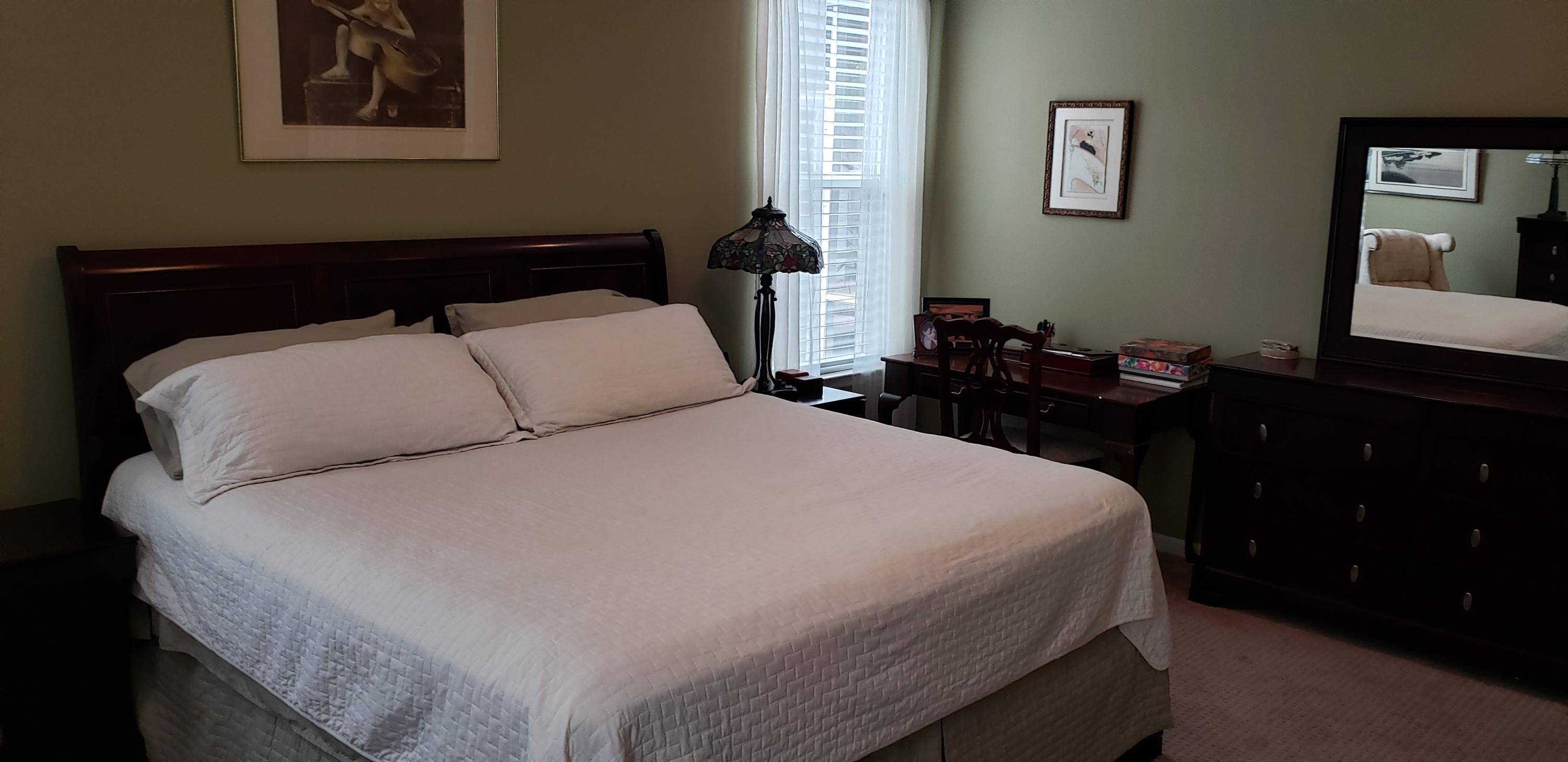 3596 Locklear Lane Mount Pleasant, SC 29466 - Photo 22 of 56 0505_master_bedroom