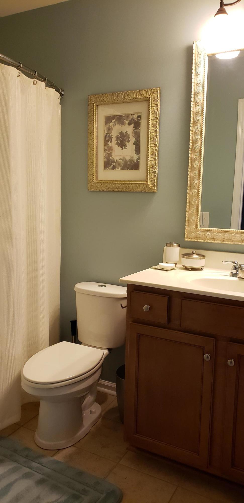 3596 Locklear Lane Mount Pleasant, SC 29466 - Photo 32 of 56 0620_full_bath_2