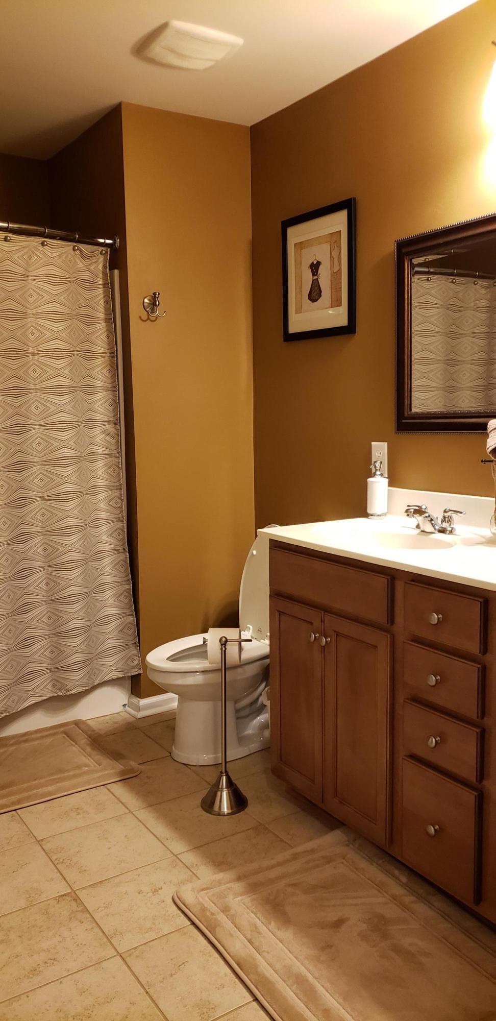 3596 Locklear Lane Mount Pleasant, SC 29466 - Photo 46 of 56 1100_full_bath_3
