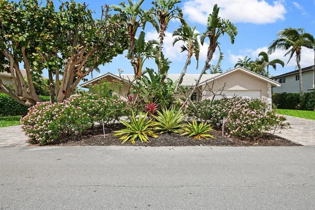 a view of a garden with a potted plant