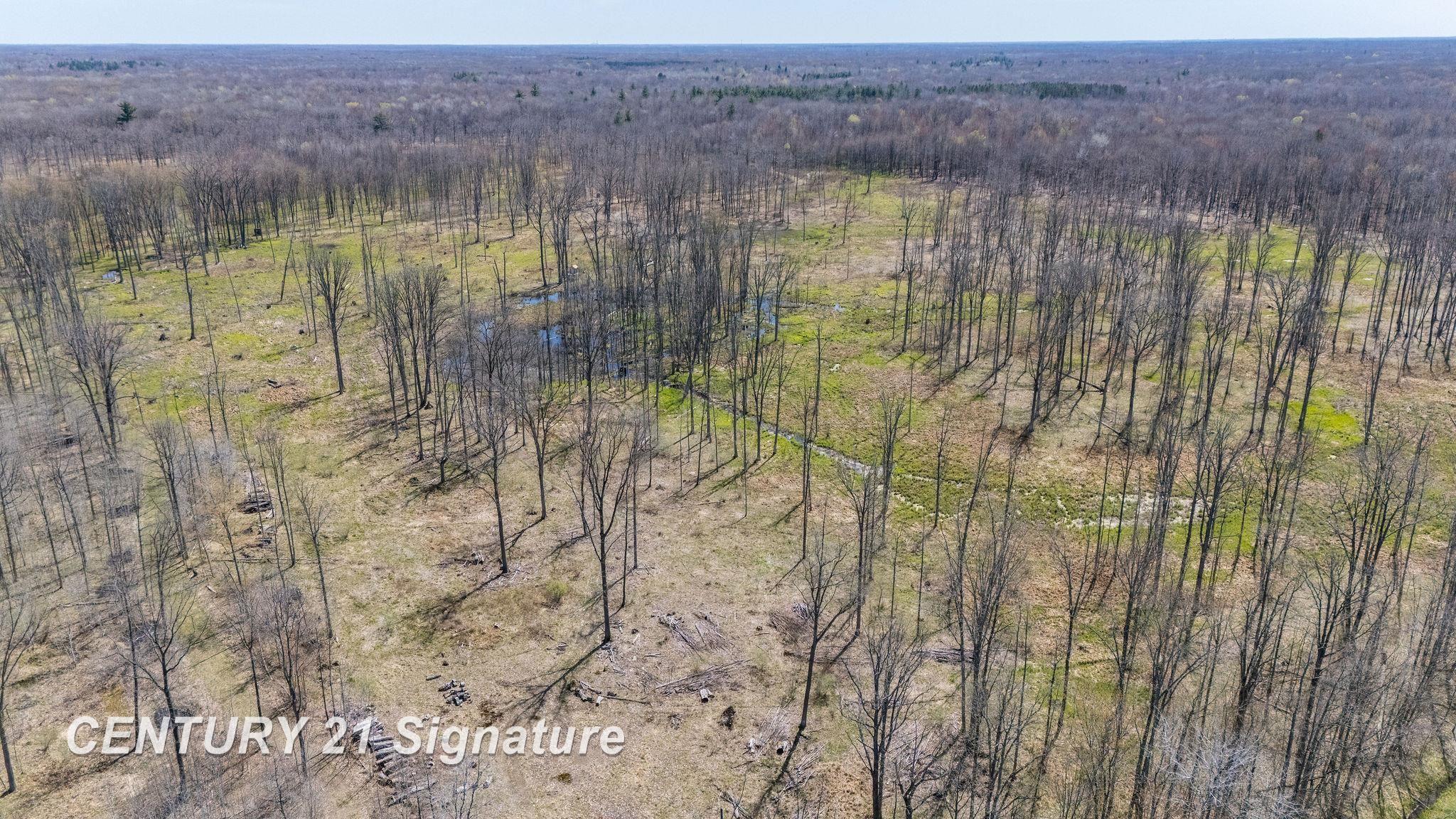 6710 North Jefferson Road Rhodes, MI 48652 - Photo 57 of 67 Gallery Image 57