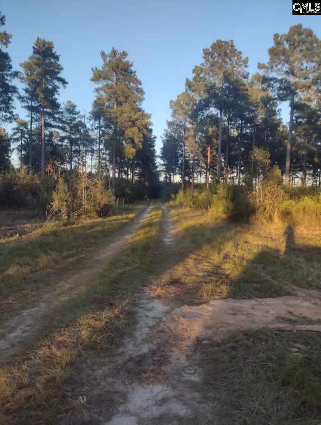 Tbd Poinsettia Road Wagener, SC 29164 - Photo 3 of 5